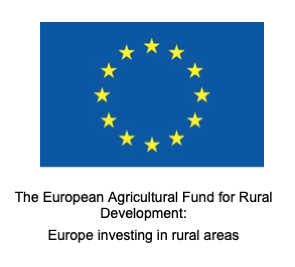 EU Development logo